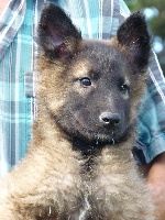 JORDI DE LA BODEGA AZUL